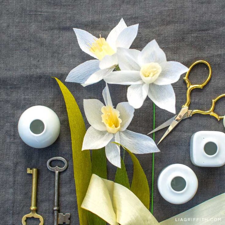 Image for Extra-Fine Crepe Jonquil