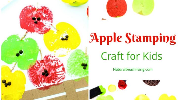 Image for Apple Stamping Craft 